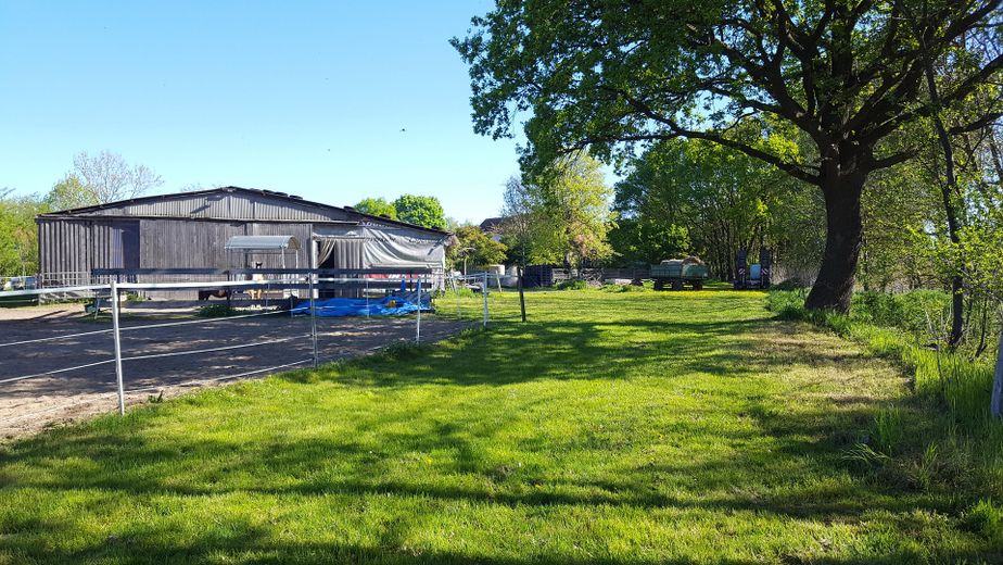 Ideal für Pferdehaltung - Einfamilienhaus, Baugrundstück, Stall und Hausweide / Resthof – Stall und Hoffläche