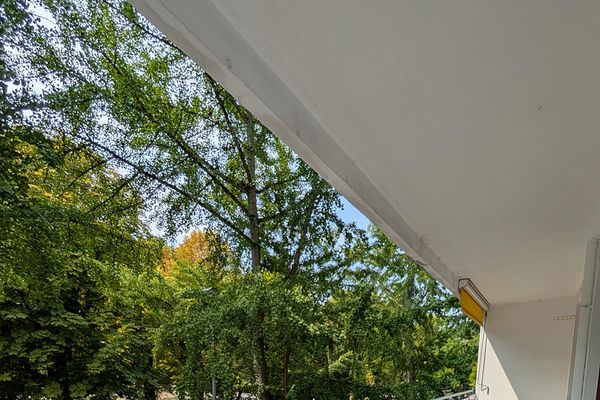 Przyjazne rodzinom i zwierzętom mieszkanie miejskie z 4 pokojami