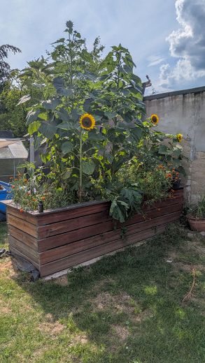 OHNE MAKLER! Freistehendes EFH auf 1.416 m² – seltenes Grundstück in zentraler Lage von Hennef – Hochbeet