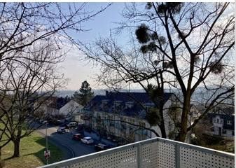 Blick vom Balkon nach WI u. MZ