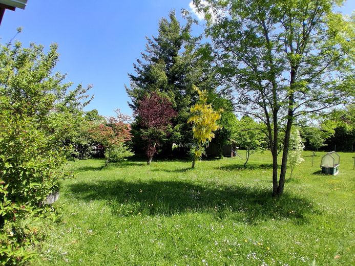 Das besondere Haus, mit sehr großem Grundstück, in einer Region wo andere Urlaub machen – Grundstück-5