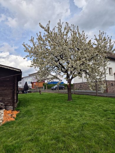 Kernsaniertes EFH nahe Marburg: Pool & 908m² Traumgarten – Photo 10