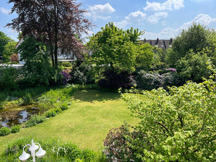 Gartenblick vom Balkon