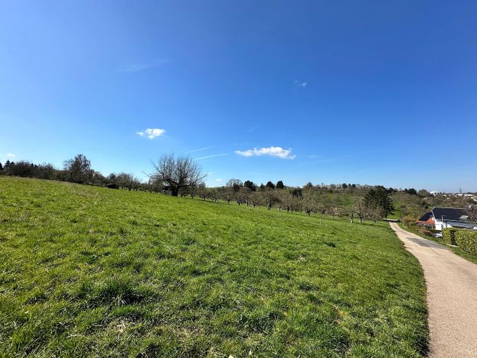 Casa bifamiliare senza provvigioni in posizione eccellente - periferia del paese, giardino, abitazione e eventualmente affitto – Feldrand Wohngebiet Westsicht