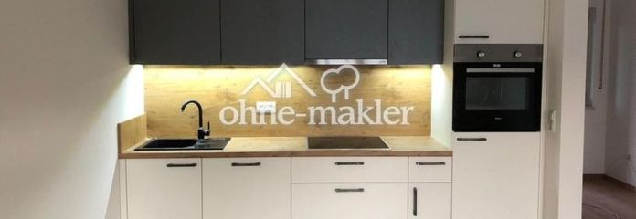 Großes helles Apartment mit Balkon zu vermieten