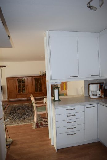 Blick Küche/Wohnzimmer