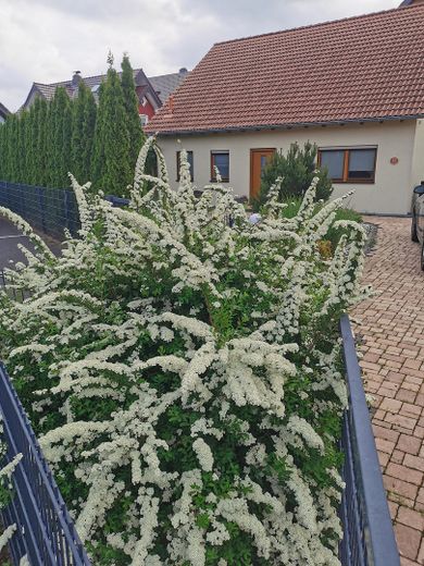 Einfahrt