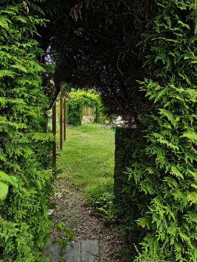 Garten 6