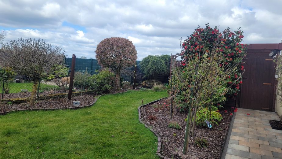 Sonstige Bilder - Garten
