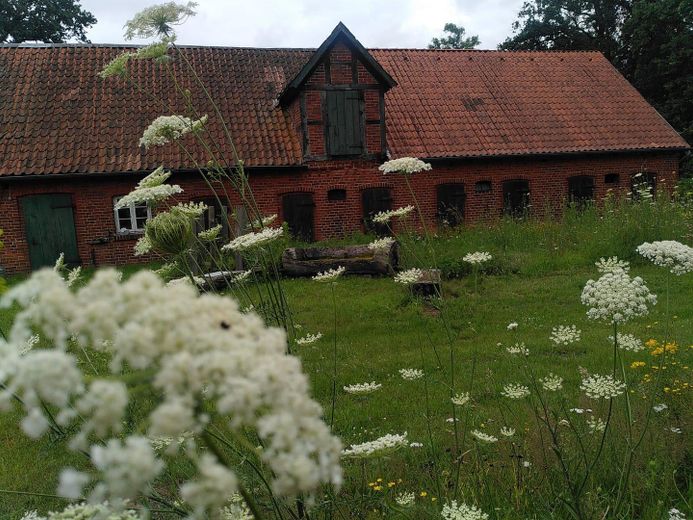 Historische restboerderij met karakter – Foto 2