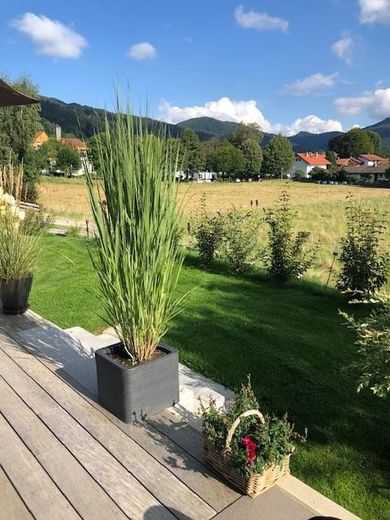 Garten-Süden