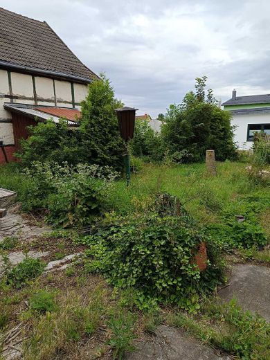 Unstrut Hainich-OT, EFH + Nebengeb. – Foto 5
