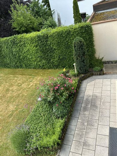 Blick vom Haus ins Grüne