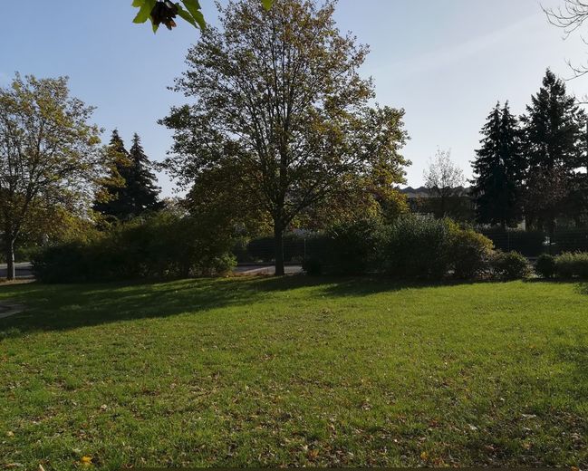 Esche Richtung Schule