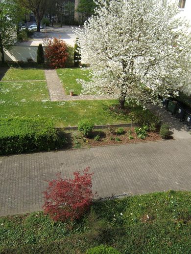 Blick in begrünten Innenhof