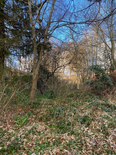 *Grundstück mit Altbestand, ideal zur Bebauung mit einem großen EFH, oder einem Zweifamilienhaus !!!* – Grundstück zur Vogelstange