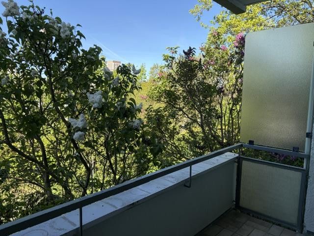 Blick vom Balkon 2
