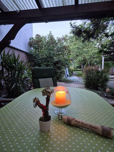 Haus mit Garten und Pool, unweit von Jessen/E. und Holzdorf-Ost – Blick von der Terrasse