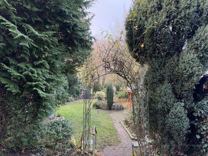 Blick in den Garten