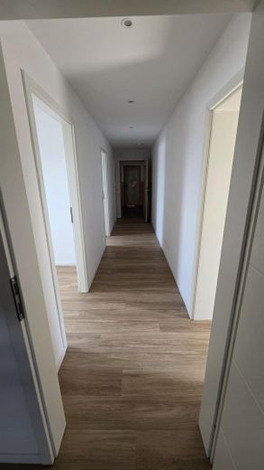 2.5 Zimmer Wohnung Rossdorf Gundernhausen ab 01.09 Garage Küche – Foto 15