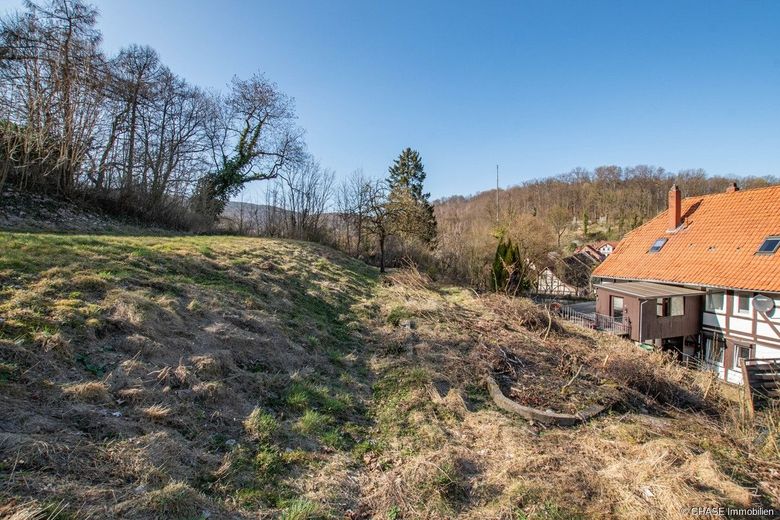 Einzigartiges Baugrundstück mit traumhaftem Weitblick in Hanglage Lauensteins - Bautraum in Idylle! – Bodenansicht - Perspektive 4