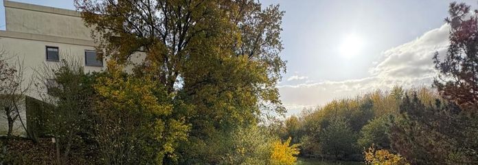 Ausblick ins Grüne vom Balkon
