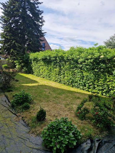 Garten hinten