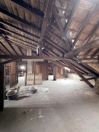 Denkmalgeschütztes Altstadt-Anwesen mit Baugenehmigung für 5 Wohnungen – Entwicklerprojekt in Landau – Dachstuhl