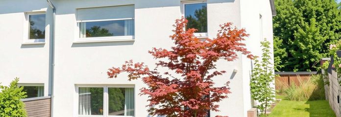 Haus Ansicht hinten