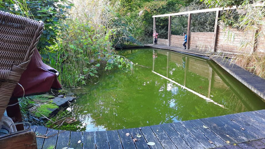 Południe Essen, dom jednorodzinny w ustronnym położeniu z nową pompą ciepła – Photo 4