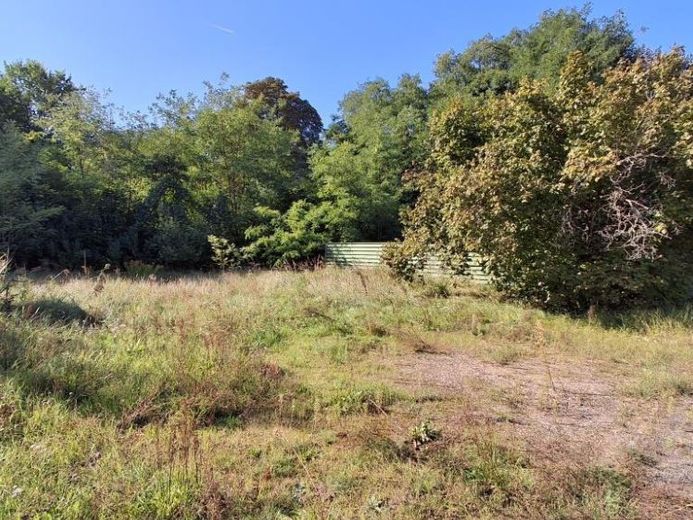 Baugrundstück in Zossen - Bauerwartungsland - Baugrundstück – Foto 1