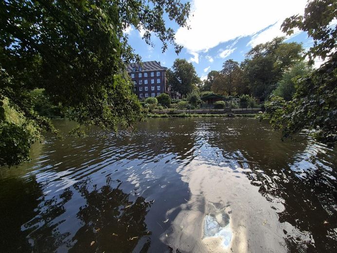 L’eau murmure « devant la porte » – des canards et des cygnes nagent dans l’eau ! – Photo 20