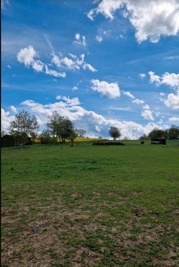 Bebra-OT, Landhaus + Pferdehof – Foto 14