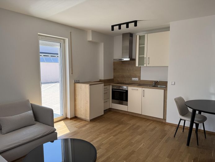 Moderne, vollmöblierte 1,5-Zimmer-Wohnung mit Stellplatz zu vermieten – ab sofort verfügbar – Wohn- und Essbereich