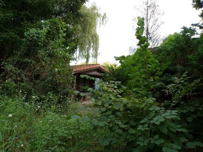 Baugrundstück (erschlossen) - an einer Hauptstraße, aber in 2.ter Reihe und dadurch ruhig gelegen – 4 Gartenhaus (mittlerer Bereich)