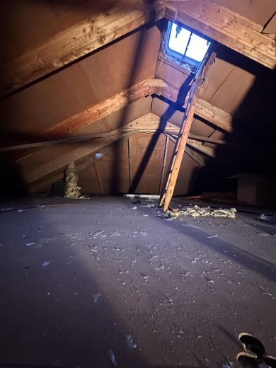 Hermsdorf: casa unifamiliare indipendente su terreno di 492 m² con potenziale di sviluppo – Foto 14