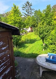 IN RUHIGER, GRÜNER LAGE – 1694626958_86953e.jpg