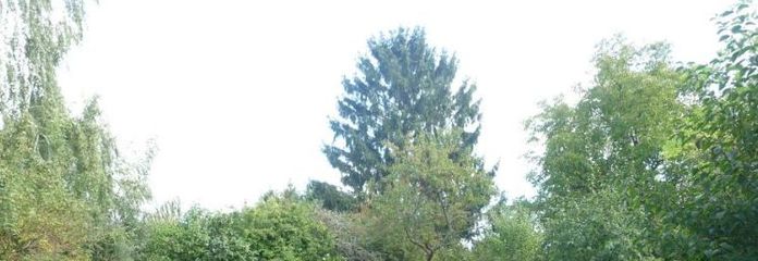 Ruhe und Natur vor den Toren Dresdens