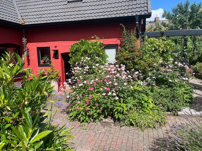 Charmantes Haus mit traumhaftem Garten – Foto 3