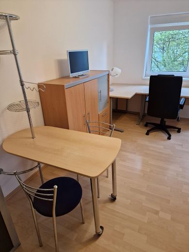Möblierte 1 Zimmer Wohnung mit PKW-Stellplatz! Nur für Studenten/innen oder Angestellte der Uni HD! – Wohn/Schlafzimmer