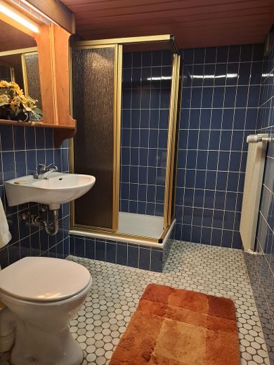 Straordinaria casa bifamiliare a schiera Nürnberg Eibach senza provvigione – Badezimmer Keller