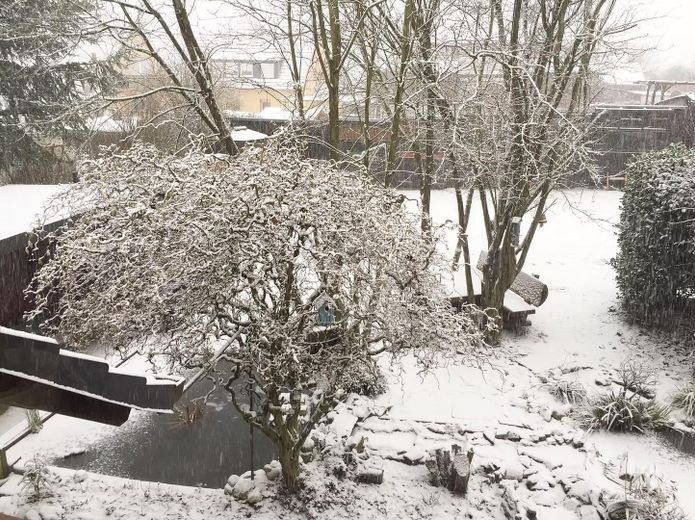 Blick aus OG in den Garten