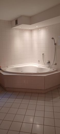 Sauna & Jacuzzi Room Basement