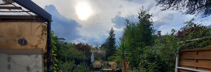 Blick aus dem Wohnzimmer