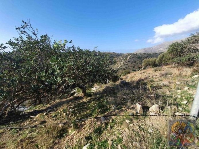 Süd Kreta, Agia Galini 5.000 m² mit Meerblick – Foto 1