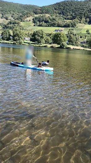 Umgebung Sport auf der Mosel