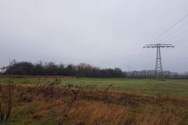 * Terreno commerciale tra Lipsia e Halle *