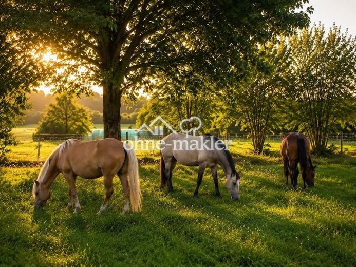 Außergewöhnliche Reitanlage mit Erweiterungspotential, Reithalle und Weitblick in der Pfalz – Foto 1
