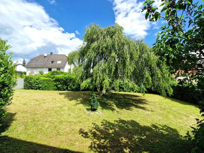 Sicht in Garten