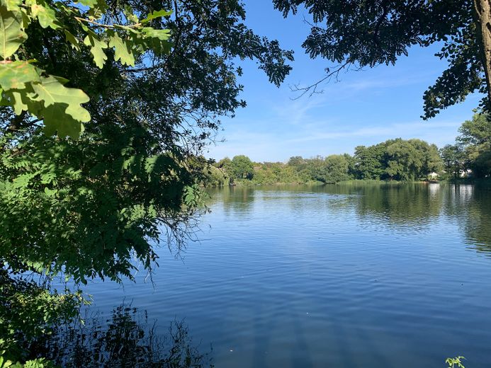 Baugrundstücke am See in Treuenbrietzen – Foto 4